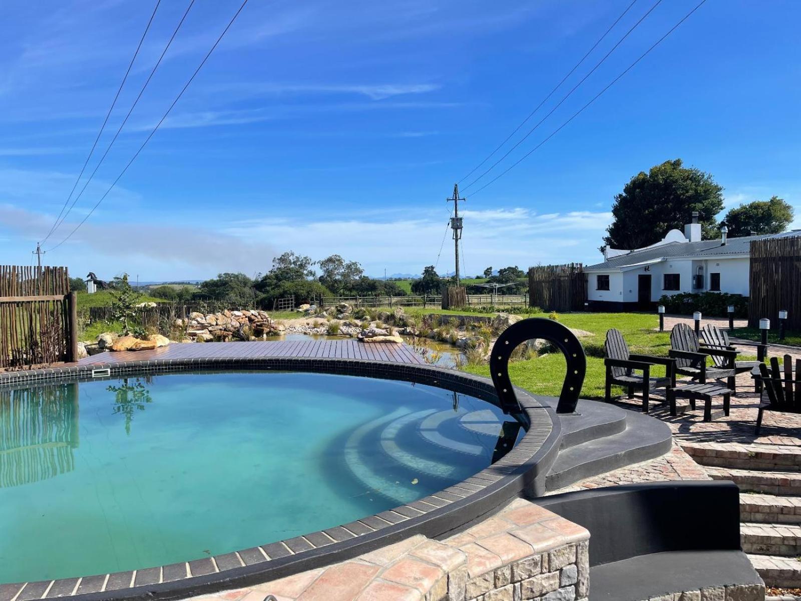 Dunkes Organic Equestrian Estate Apartment George Exterior photo